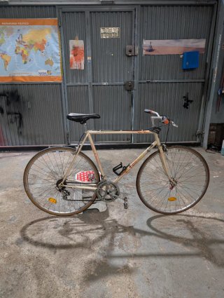Bicicleta Clásica Torrot