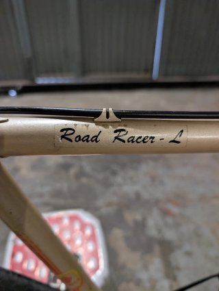 Bicicleta Clásica Torrot