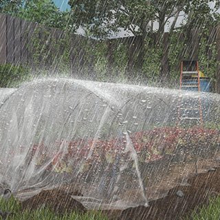 Cubierta para Invernadero en PP 150G/M² 6X10 M, Tela de Repuesto para Invernaderos de Túnel anti UV e Impermeable, Recubrimiento de Plástico, Transparente