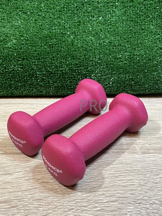 Juego de 2 Mancuernas 0,5KG SONGMICS