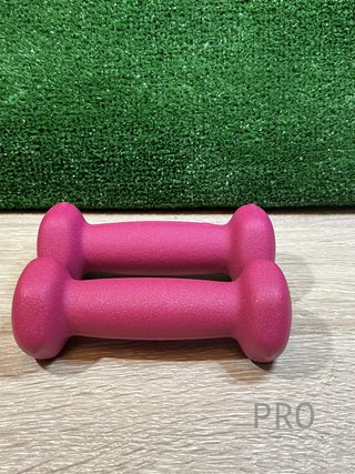 Juego de 2 Mancuernas 0,5KG SONGMICS