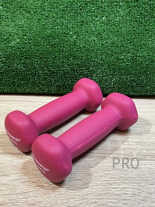 Juego de 2 Mancuernas 0,5KG SONGMICS
