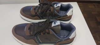 Deportivas Lacoste Marrón y Blanco