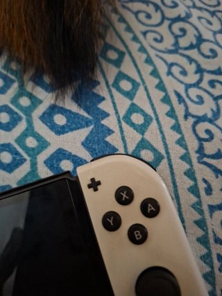 Nintendo Switch OLED Blanco