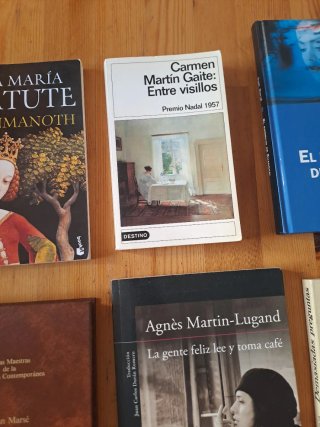 Lote novela 9 títulos