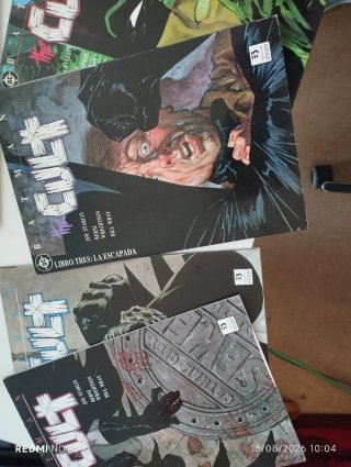 Batman the cult