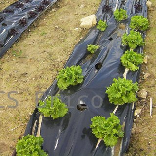 Plástico Negro Agricultura Obra G700 - 1/8 - 8X75 Metros