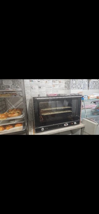 Horno industrial profesional