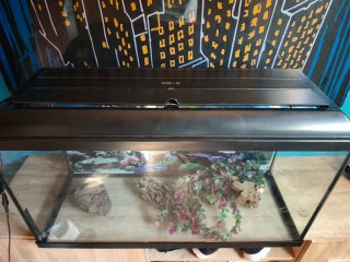 Acuario 80x42x30 + Calentador 25W