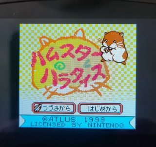 Lote Juegos Gameboy Japón