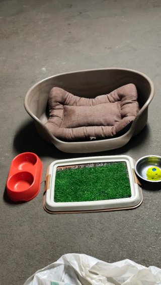 Accesorios para perro: Cama, comedero, alfombra