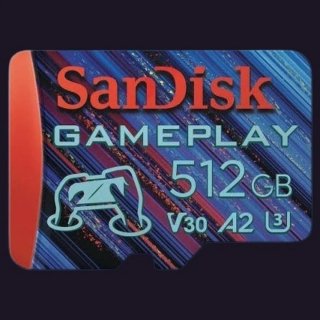 Nintendo switch SanDisk microSDXC 512GB GAMEPLAY V