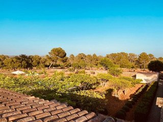 Chalet en alquiler en Campos