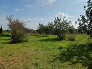 Casa rural en venta en Santa María del Camí