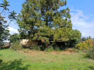 Casa rural en venta en Santa María del Camí
