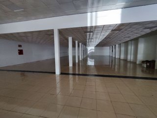 Nave industrial en alquiler en Churriana en Málaga