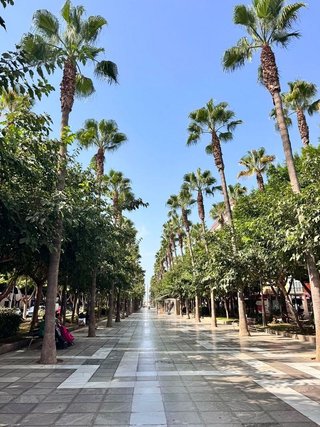 Oficina en alquiler en Barrio Alto - San Félix - Oliveros - Altamira en Almería
