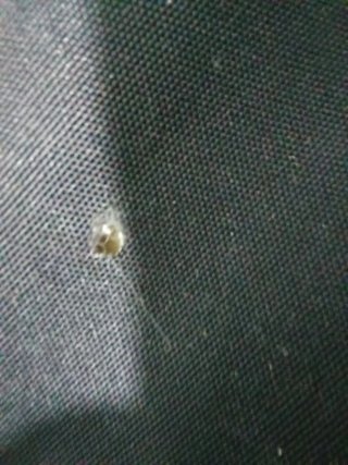 Sofá cama negro de tela