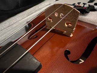 Viola Allegro VA1 15,5” (39,5cm) a estrenar