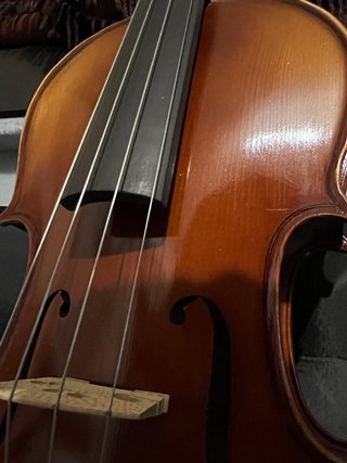 Viola Allegro VA1 15,5” (39,5cm) a estrenar