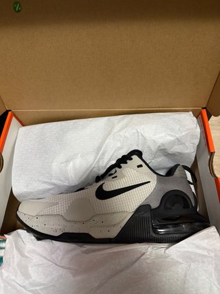 Nike Beige/Gris Zapatillas Deportivas