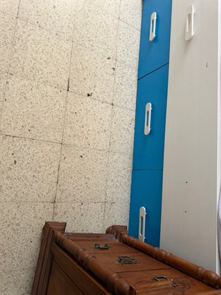 Litera infantil con armario y estante