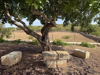 Casa rural en alquiler en Sant Llorenç des Cardassar