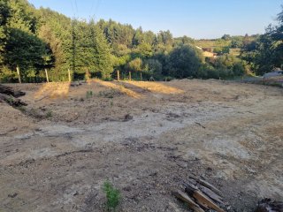 Acepto Tierra vegetal para jardín