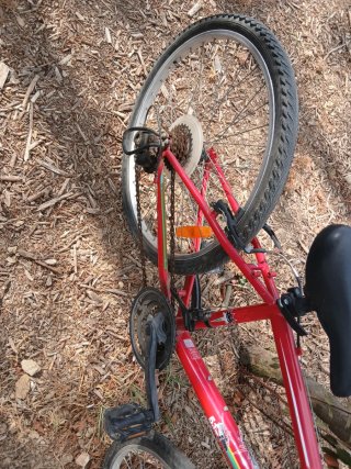 Bicicleta Rockrider Roja Infantil