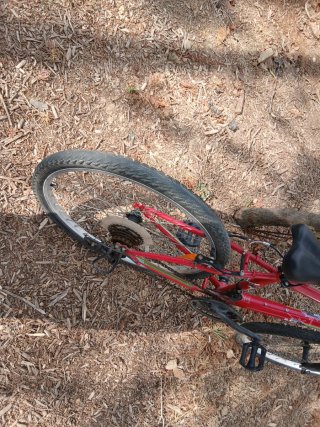 Bicicleta Rockrider Roja Infantil