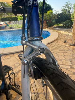 BH Fabio Barecci Vintage Campagnolo ed. Especial