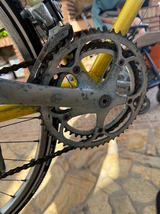 BH Fabio Barecci Vintage Campagnolo ed. Especial