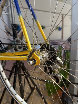 BH Fabio Barecci Vintage Campagnolo ed. Especial