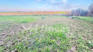 Terreno en venta en Carmona