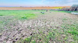 Terreno en venta en Carmona