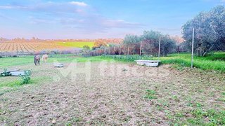 Terreno en venta en Carmona