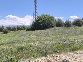 Terreno en venta en Parque de la Ermita - Parque de San Roque en Churriana de la Vega