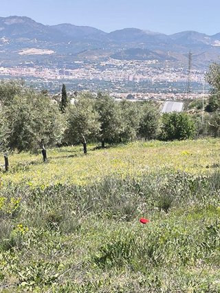 Terreno en venta en Parque de la Ermita - Parque de San Roque en Churriana de la Vega