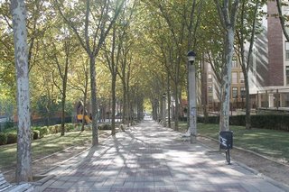 Bar en alquiler en Parquesol en Valladolid