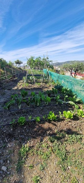 Casa rural en venta en Centro Histórico en Vélez-Málaga