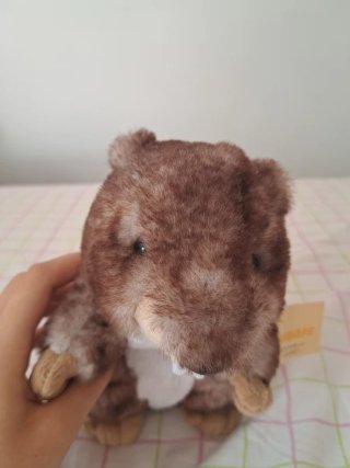 Peluche Castoro Inware