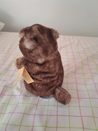Peluche Castoro Inware