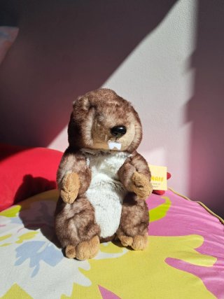 Peluche Castoro Inware