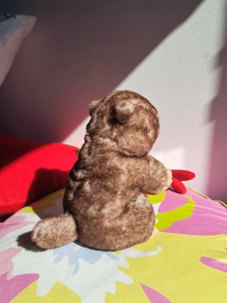 Peluche Castoro Inware