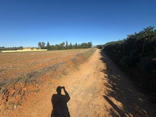 Terreno en venta en Loreto en Espartinas