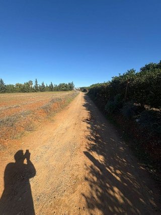 Terreno en venta en Loreto en Espartinas