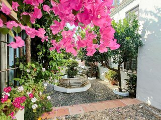 Piso en alquiler en La Carolina-Guadalpín en Marbella