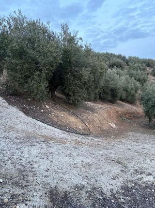 Terreno en venta en Priego de Córdoba