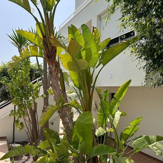 Piso en alquiler en Cala Major en Palma de Mallorca