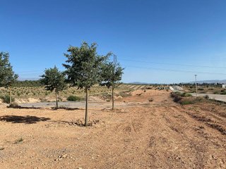 Solar en venta en Albolote